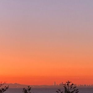 Meet your Posher, Sadie